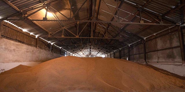 A wheat warehouse belonging to Ivan Kilgan, head of the regional agricultural association village, in Luky village, in western Ukraine, March 25, 2022.